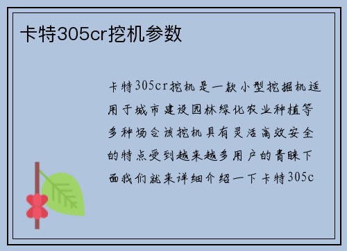 卡特305cr挖机参数