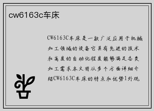 cw6163c车床